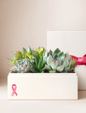 Succulents in gift box. - Image 