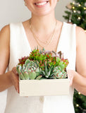 Christmas Urban Garden - Image 