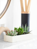 A rectangular cream-colored planter box filled with various green succulent plants, styled on a white marble surface next to a black reed diffuser with a copper-colored collar. - Image 