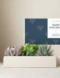 Succulents in gift box. - Image 
