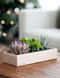 Christmas Verdant Garden - Image 