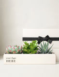 A white rectangular gift box with a black ribbon bow, displayed behind a matching white tray holding three small green succulent plants. The front of the tray reads 'your logo HERE' in black text. - Image 