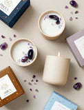 Succulents in gift box. - Image 