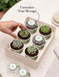 Succulents in mini cups with an occasion. - Image 