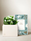 Holiday Kalanchoe Garden - Image 