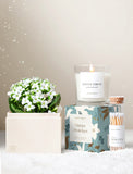 Holiday Kalanchoe & Candle & Matches - Image 