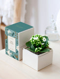 Holiday Kalanchoe & Candle & Matches - Image 