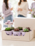 Succulents in mini cups with an occasion. - Image 
