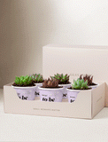 Succulents in mini cups with an occasion. - Image 