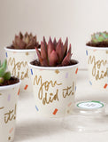 Succulents in mini cups with an occasion. - Image 