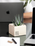 Succulents in gift box. - Image 