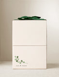 Cream-colored gift box with a green ribbon, featuring a watercolor eucalyptus sprig and the text rest & renew. - Image 