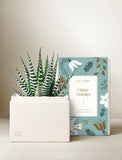 Holiday Petite Zebra Garden - Image 