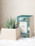 Holiday Petite Zebra Garden - Image 