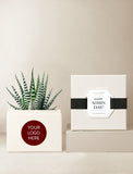 Succulents in gift box. - Image 