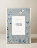 Blue sleeve on gift box.  - Image 