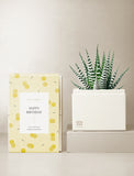 Succulents in gift box. - Image 