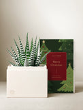 Christmas Petite Zebra Garden - Image 