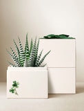 White gift box with a green bow and a potted plant on a beige background - Image 
