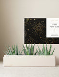 Succulents in gift box. - Image 