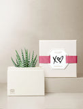 Succulents in gift box. - Image 