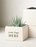 A cream-colored square gift box with the text 'your logo HERE' printed on the front, containing a small green striped succulent plant. Another matching cream box with a black ribbon sits behind it on a light beige background. - Image 