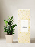 Plant in planter next to a gift box. - Image 