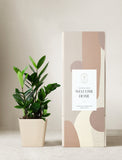 Plant in planter next to a gift box. - Image 