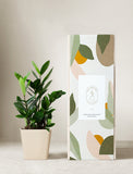 Plant in planter next to a gift box. - Image 