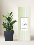 ZZ plant with glossy green leaves in a matte black ceramic pot next to a green and white striped Father's Day gift box. - Image 