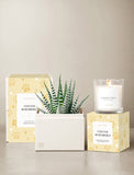 A styled product arrangement on a light beige surface against a neutral beige background. The set includes a yellow paw-print scented candle in a clear glass jar with a lit wick, a white rectangular planter with a green striped succulent, and matching pale yellow gift boxes. - Image 