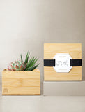 Succulents in gift box. - Image 