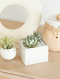 Succulents in gift box on table next to decorative objects. - Image 
