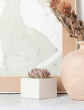 Succulent in gift box next to artwork and vase. - Image 