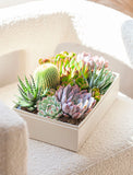 An assortment of succulents in gift box on chair. - Image 